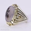 انگشتر نقره مردانه شجر اصل با رکاب شیخ احمد تک درخت کد RN-17