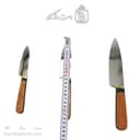 ست چاقوی آشپزخانه زنجان دسته چوبی در 3 سایز SHN-13