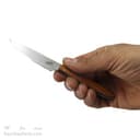 چاقو میوه خوری زنجان ست 6 تایی 16 سانتیمتری کد MN-62